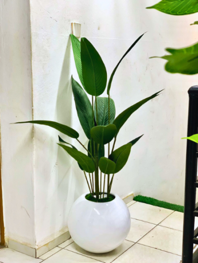 Artificial Skybird Plant