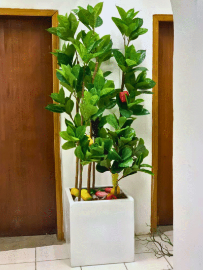 Fiddle Tree in Square Vase