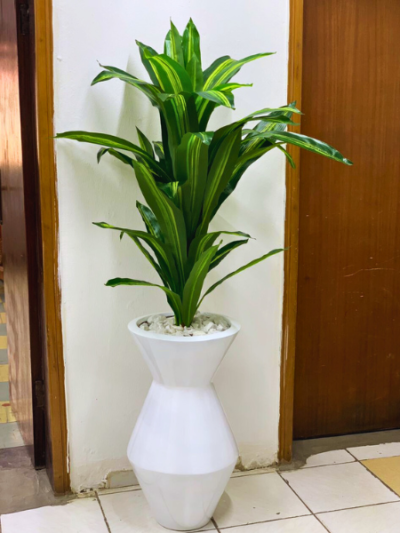 Artificial Dracaena Plant