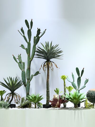 Artificial Cactus Display