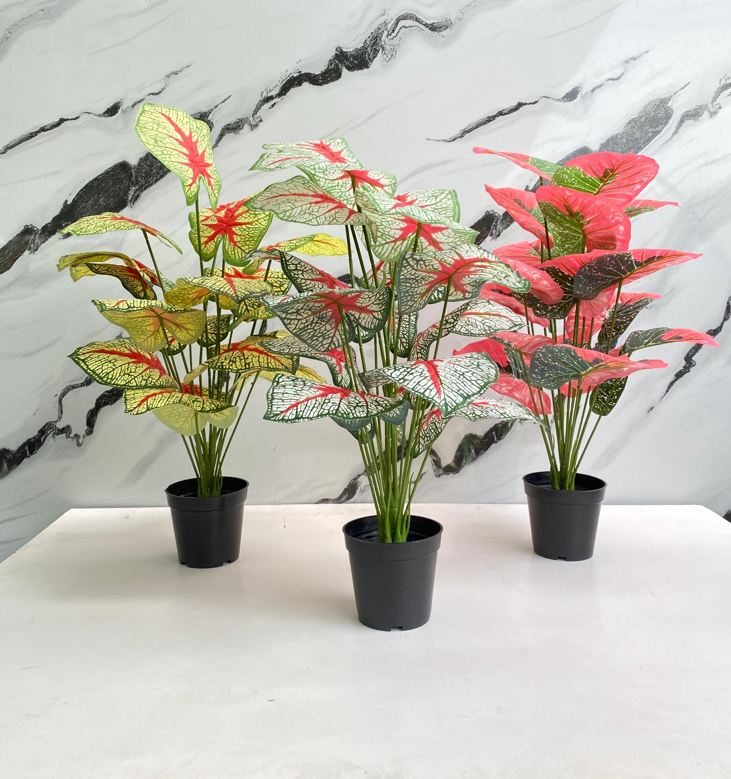small space décor