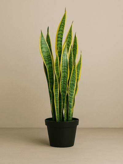 Artificial Snake Plant