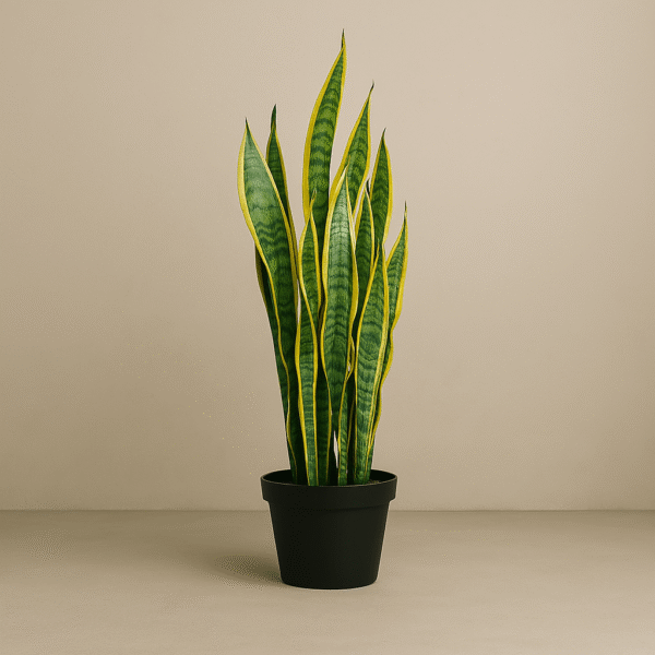 Artificial Snake Plant