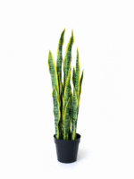 Modern Artificial Snake Plant for Indoor Décor – Available in Small and Big Sizes