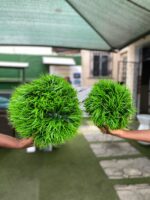 Decorative Artificial Boxwood Ball