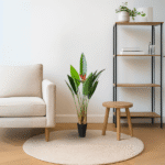 Three Stems Paradise Bird Plant
