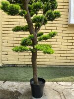 Artificial Bonsai Trees 150cm & 180cm | Luxury Indoor Decorative Plants in Nigeria - Image 4