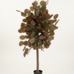 Artificial Variegated Banyan Tree 150cm | Luxury Brown Indoor Decor in Nigeria