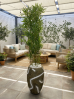 Artificial Tiny Bamboo Stick 200cm–215cm in Rustic Classic Fiberglass Vase | Tall Indoor Décor Nigeria - Image 3