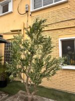 Artificial Olive Tree 270cm | Luxury Extra Tall Indoor Décor in Nigeria - Image 3