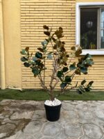 Artificial Bodhi Tree 150cm & 200cm | Luxury Indoor Decorative Tree in Nigeria - Image 2