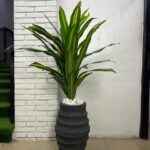 Artificial Dracaena Plant 140cm–155cm in Honeycomb Fiberglass Vase | Modern Indoor Décor Nigeria