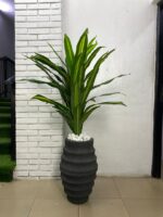 Artificial Dracaena Plant 140cm–155cm in Honeycomb Fiberglass Vase | Modern Indoor Décor Nigeria