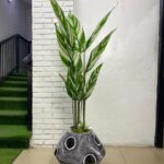 Artificial Skybird Plant 163cm–183cm in Artistic Onion Fiberglass Vase | Luxury Indoor Plant Nigeria