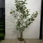 Artificial Ficus Tree 155cm–170cm in Rustic Round Ball Fiberglass Vase | Indoor Plant Nigeria