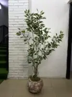 Artificial Ficus Tree 155cm–170cm in Rustic Round Ball Fiberglass Vase | Indoor Plant Nigeria