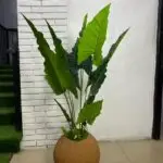 Artificial Cocoyam Plant 135cm–150cm in Rustic Round Ball Fiberglass Vase | Indoor Décor Nigeria