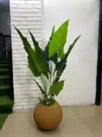 Artificial Cocoyam Plant 135cm–150cm in Rustic Round Ball Fiberglass Vase | Indoor Décor Nigeria