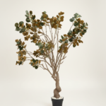 Artificial Bodhi Tree 260cm | Extra Tall Luxury Indoor Decorative Tree in Nigeria
