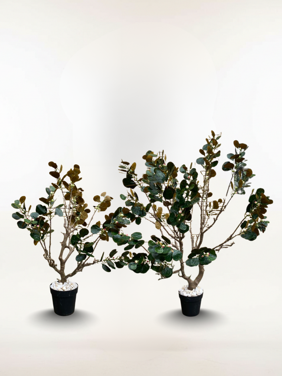 BODHI TREE Artificial Bodhi Tree 150cm & 200cm | Luxury Indoor Decorative Tree in Nigeria - Image 1