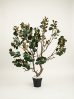 Artificial Bodhi Tree 200cm | Luxury Indoor Decorative Tree in Nigeria
