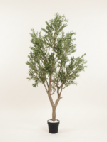 Artificial Olive Tree 270cm | Luxury Extra Tall Indoor Décor in Nigeria