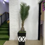 Artificial Skybird Plant 215cm–230cm in Rustic Cone Fiberglass Vase | Tall Indoor Décor Nigeria