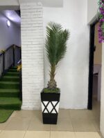 Artificial Skybird Plant 215cm–230cm in Rustic Cone Fiberglass Vase | Tall Indoor Décor Nigeria
