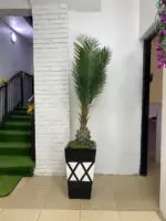 Artificial Skybird Plant 215cm–230cm in Rustic Cone Fiberglass Vase | Tall Indoor Décor Nigeria
