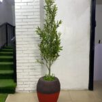 Artificial Olive Tree 200cm–215cm in Rustic Apple Fiberglass Vase | Luxury Indoor Plant Nigeria