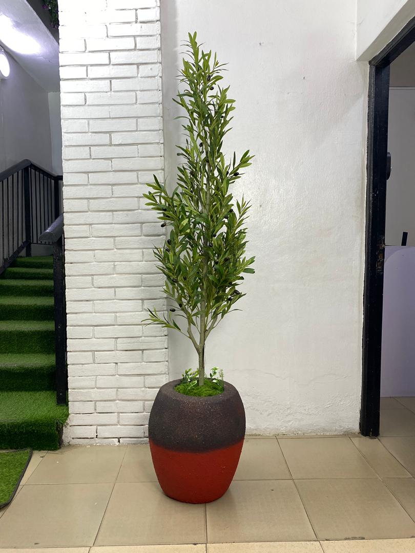 Artificial Olive Tree Artificial Olive Tree 200cm–215cm in Rustic Apple Fiberglass Vase | Luxury Indoor Plant Nigeria - Image 1