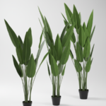 Artificial Plants