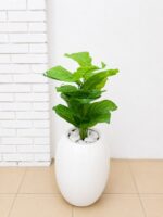 Artificial Mini Plants in Fiberglass Vase 95cm with White Pebble Stones | Modern Indoor Décor Nigeria - Image 7