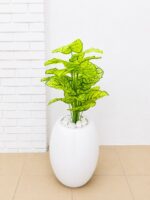 Artificial Mini Plants in Fiberglass Vase 95cm with White Pebble Stones | Modern Indoor Décor Nigeria - Image 8