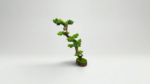 Artificial Bonsai Tree | Unique Decorative Bonsai Designs for Homes & Offices Nigeria - Image 10