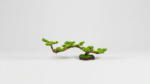 Artificial Bonsai Tree | Unique Decorative Bonsai Designs for Homes & Offices Nigeria - Image 5