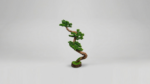 Artificial Bonsai Tree | Unique Decorative Bonsai Designs for Homes & Offices Nigeria