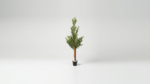 Artificial Olive Tree 60cm, 90cm, 120cm, 160cm & 180cm | Premium Indoor Olive Tree Nigeria - Image 6