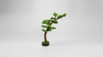 Artificial Bonsai Tree | Unique Decorative Bonsai Designs for Homes & Offices Nigeria - Image 3