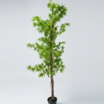Artificial Japanese Maple Tree 180cm | Elegant Decorative Tree