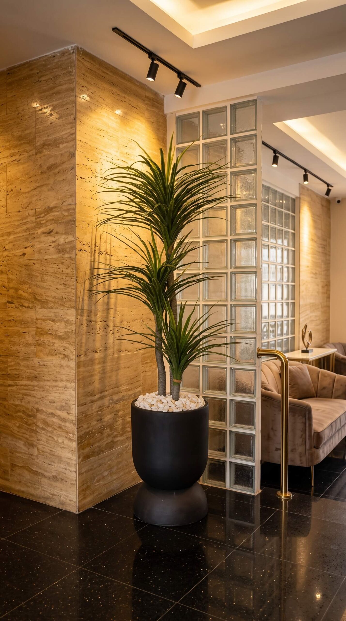 Potted_plant_near_entrance_corner_202608131043