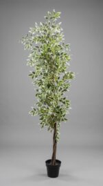 Artificial Variegated Ficus Tree 180cm | Big & Small Leaf - Image 2