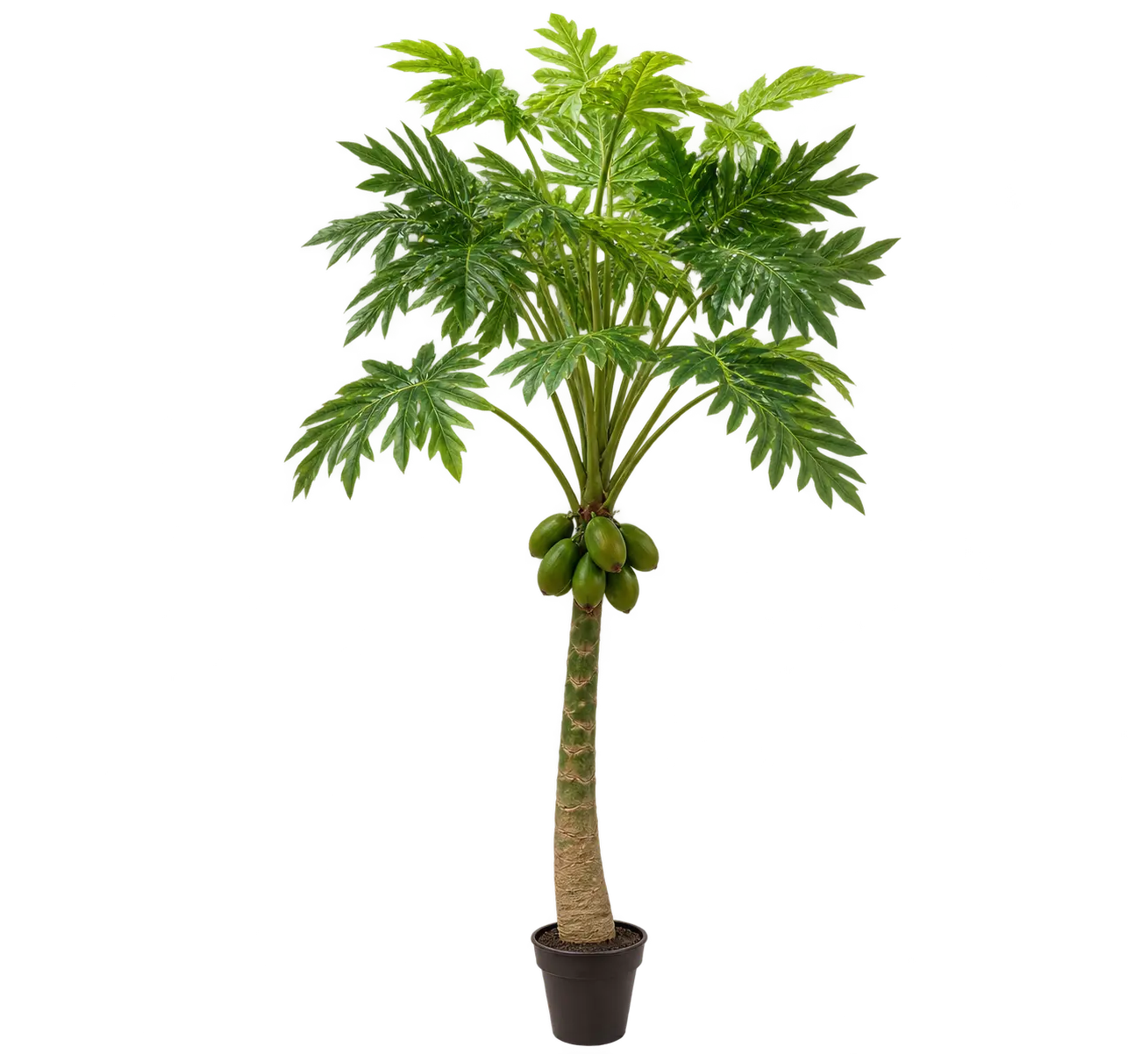 Mendels wholesale artificial plant collection