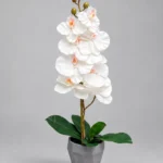 Artificial Orchid Plant 60cm | Elegant Decorative Orchid Plant Nigeria