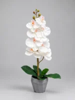Artificial Orchid Plant 60cm | Elegant Decorative Orchid Plant Nigeria