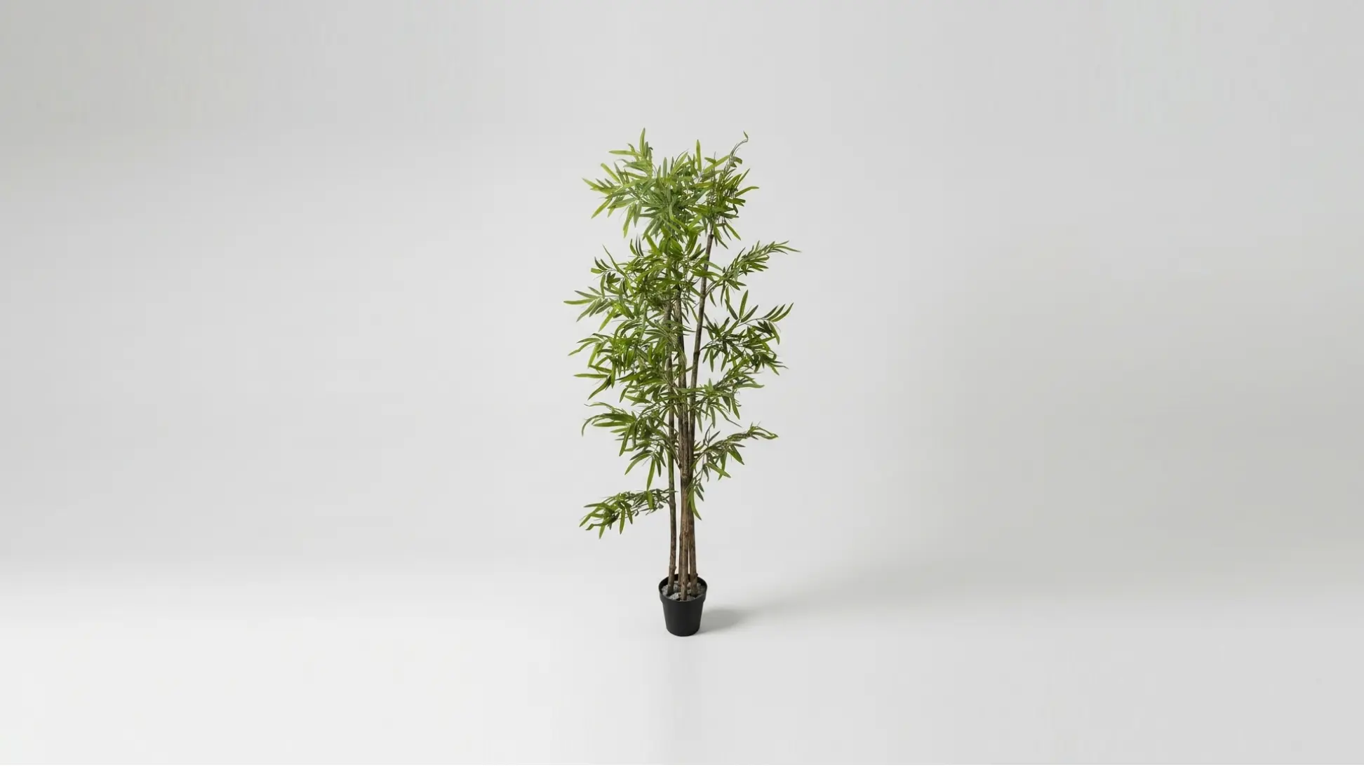 Mendels Natural Bamboo Tree