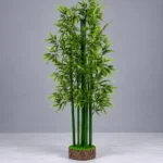 Natural Bamboo Tree 215cm | Artificial Bamboo Tree Nigeria