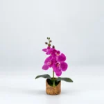 Bamboo Orchid Tabletop 30cm | Artificial Tabletop Plant Nigeria