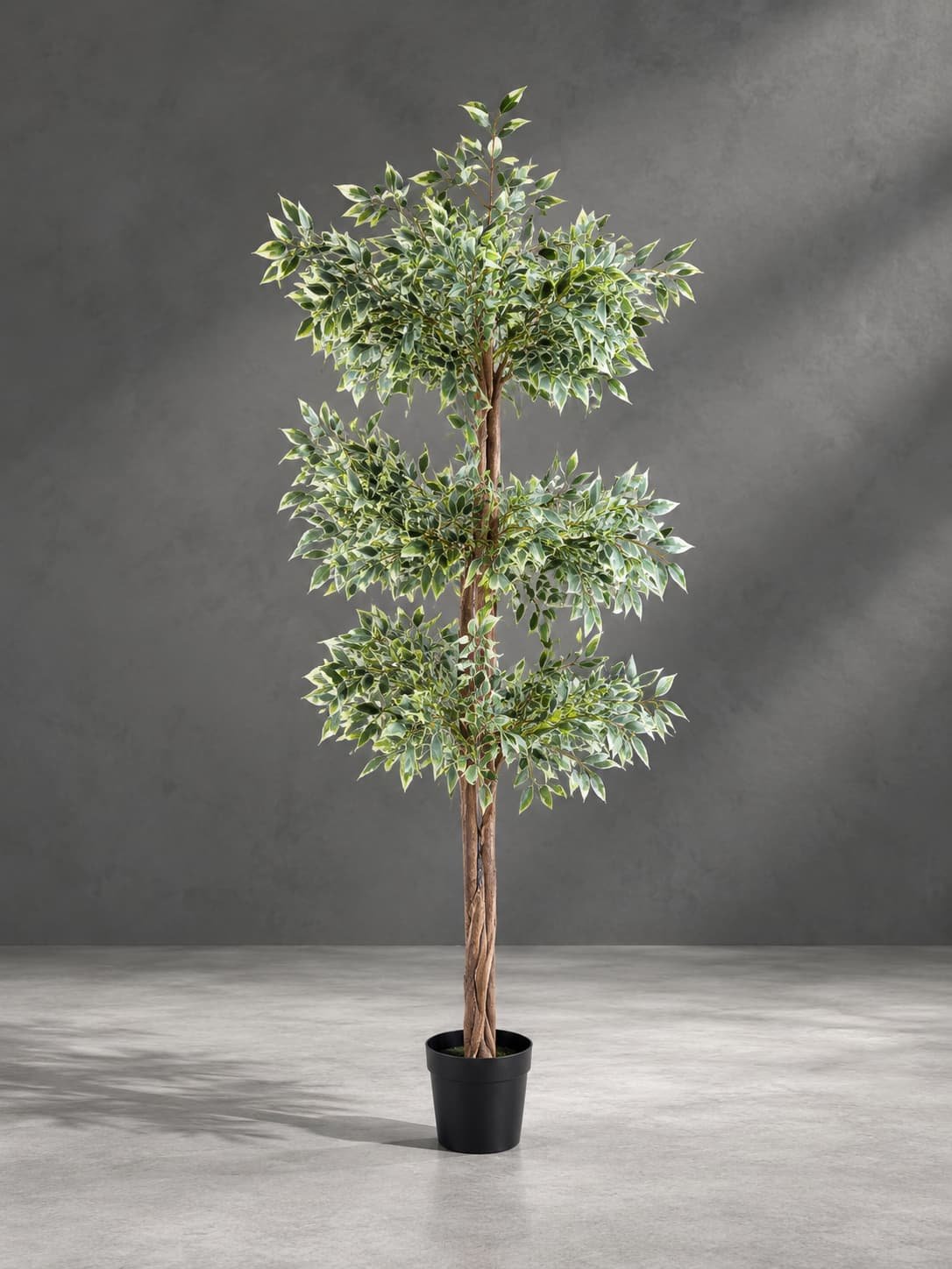 Variegated Tree in Minimalist Studio Artificial Variegated Ficus Tree 200cm | Realistic Indoor Tree Nigeria - Image 1